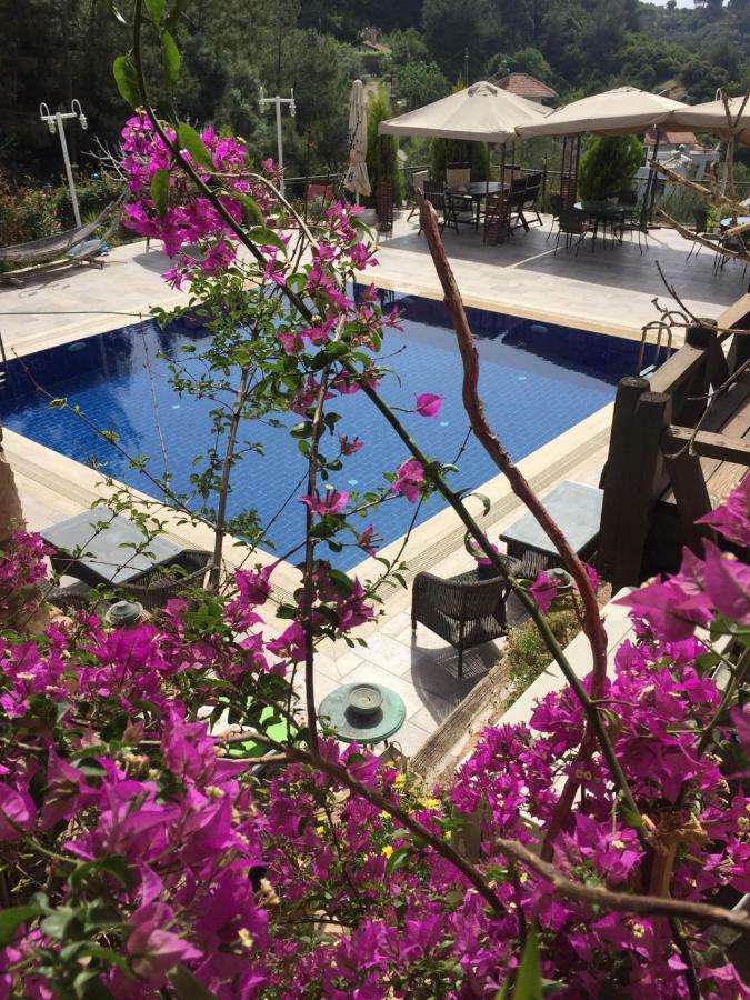 The Stone Castle Boutique Hotel Ağaçlı Exterior foto